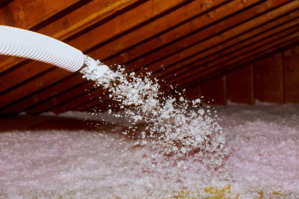 Best Types of Insulation in Gardnerville, NV